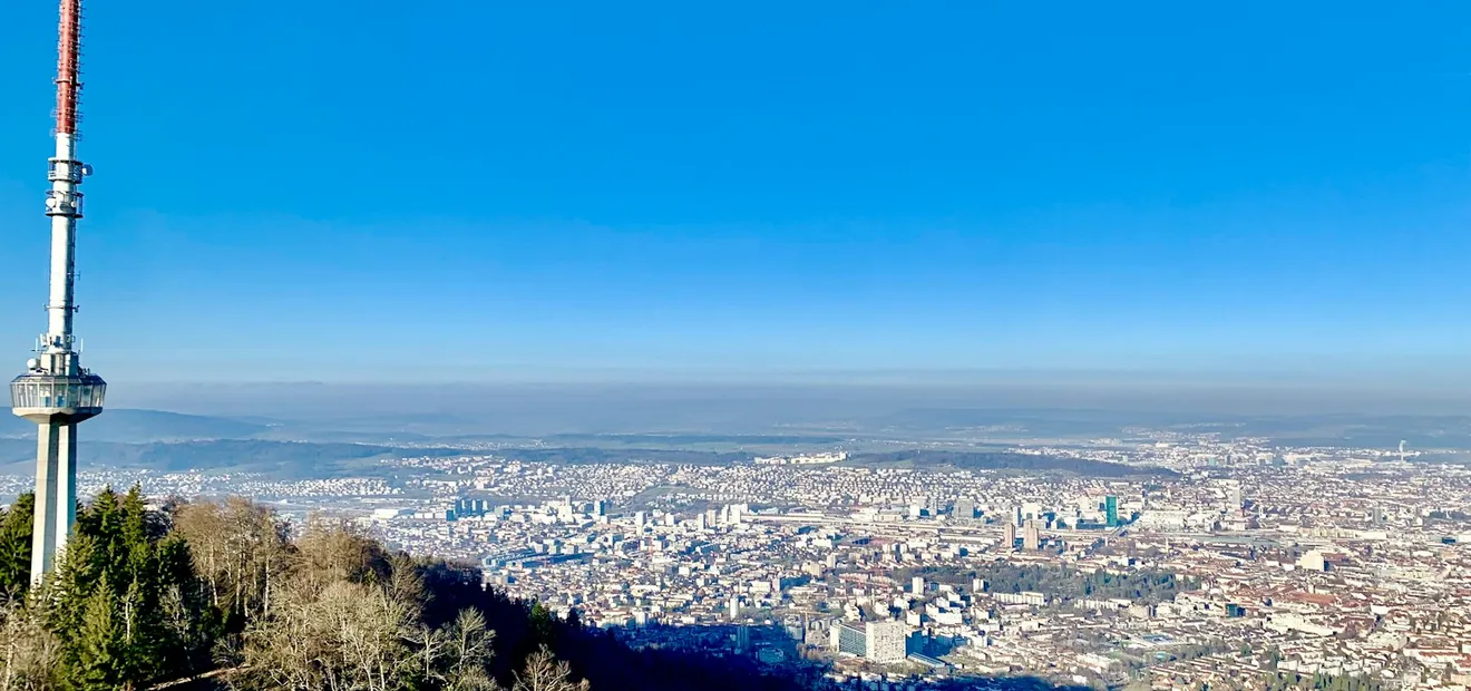 A wide view over the city of Zurich from a hill on a clear day.